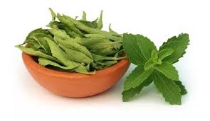Estebia en Hojas 1kg